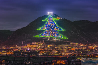 Najväčší vianočný stromček na svete
