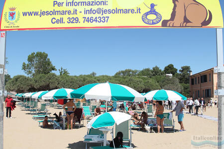 Plaża dla psów - Bau Bau Beach Jesolo