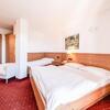 Hotel Chalet Caminetto R3 + HB (double)