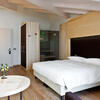 Hotel Delle Alpi Suite Cercen with sauna + HB (double)